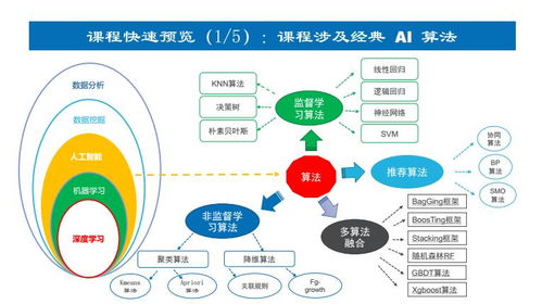 上海人工智能軟件開發培訓如何選？深入解析上海容大職業與淘學培訓